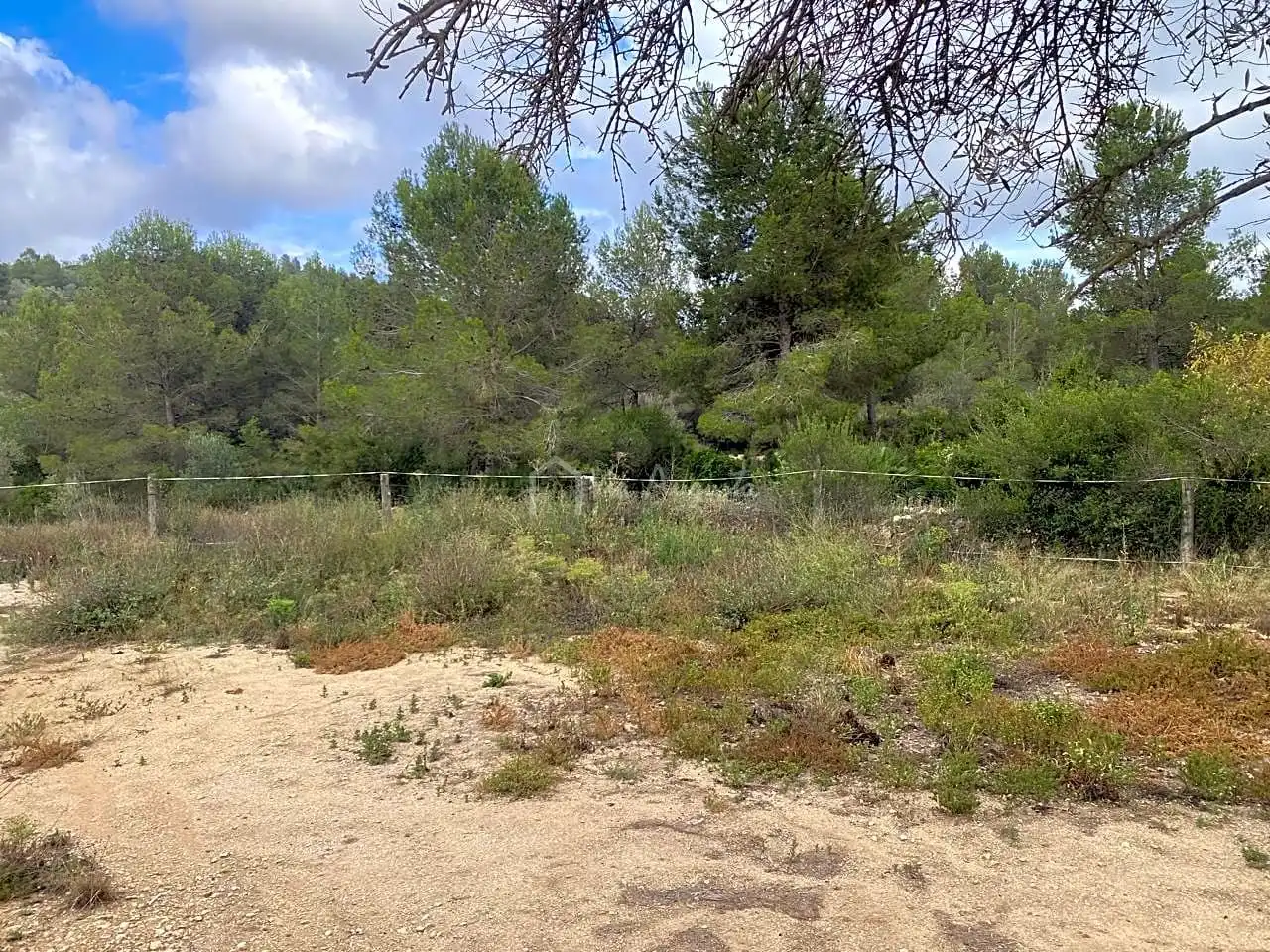Terreno rustico in vendita a Malladetes, imagen 16