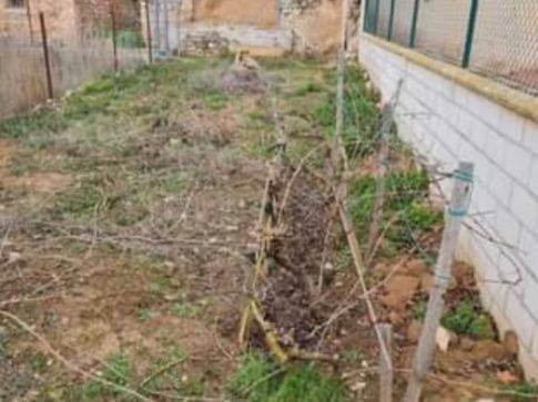 Terreno residencial en Venta en Calle la Cuesta, 2 en Frandovínez