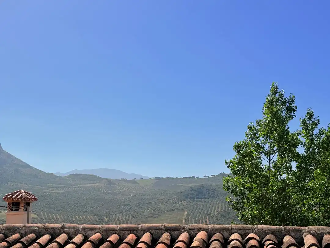 Haus mit Terrasse zum Verkauf in Periana, imagen 14