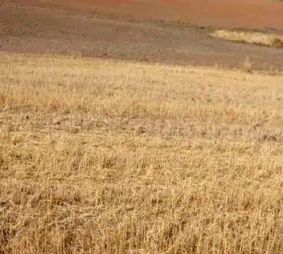 Terrenys i solars en venda a Higuera de Llerena, imagen 5