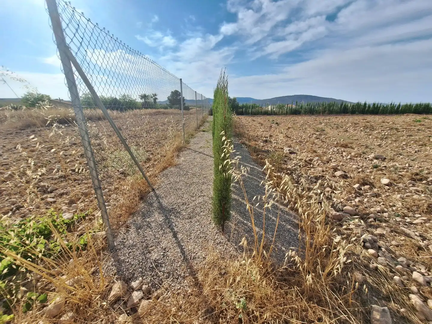 Terreno rústico en venta en El Pinós / Pinoso, imagen 8