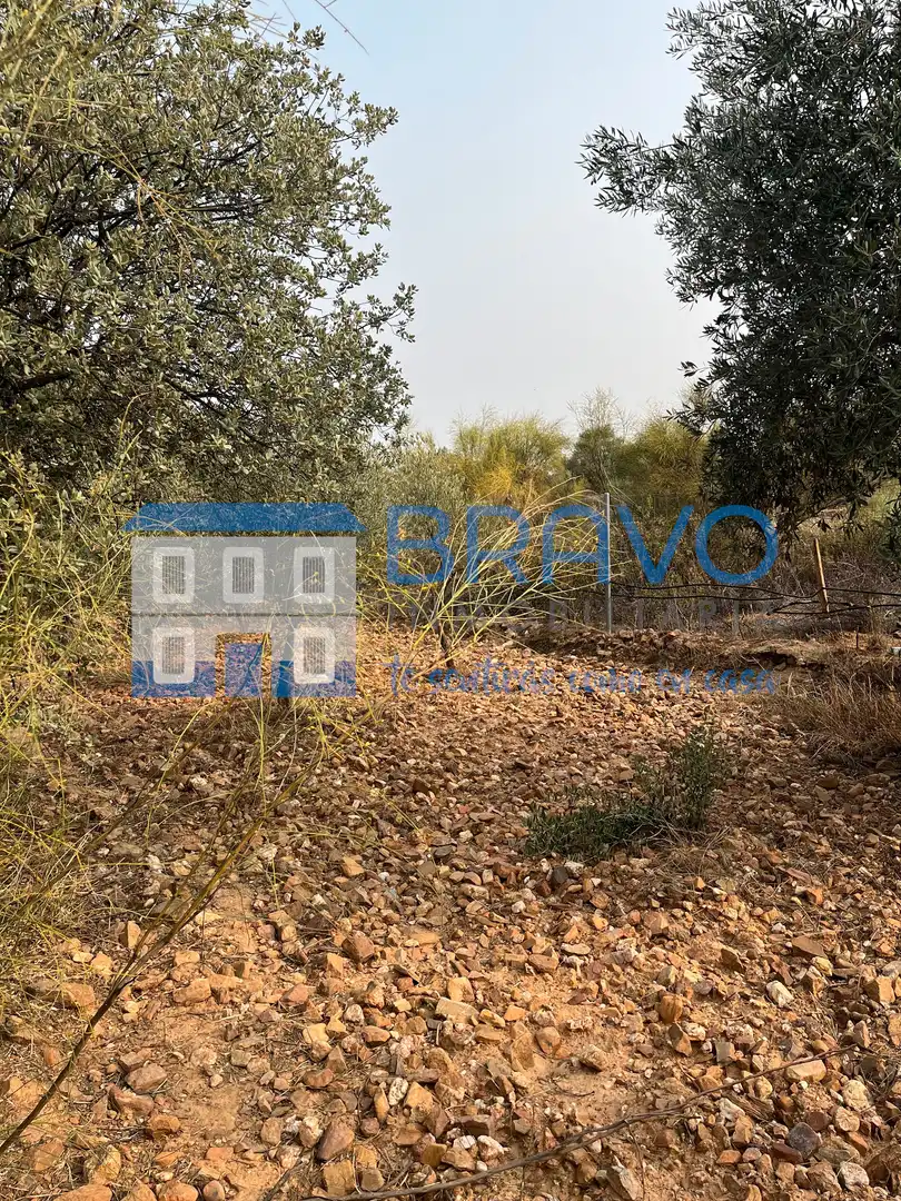 Chalet en venta en Don Benito, imagen 18
