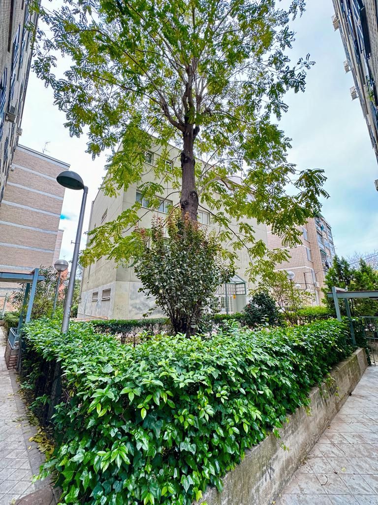 Pis en venda a Carretera de Boadilla del Monte, Campamento