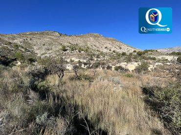 Terrenys i solars en venda a Orxeta