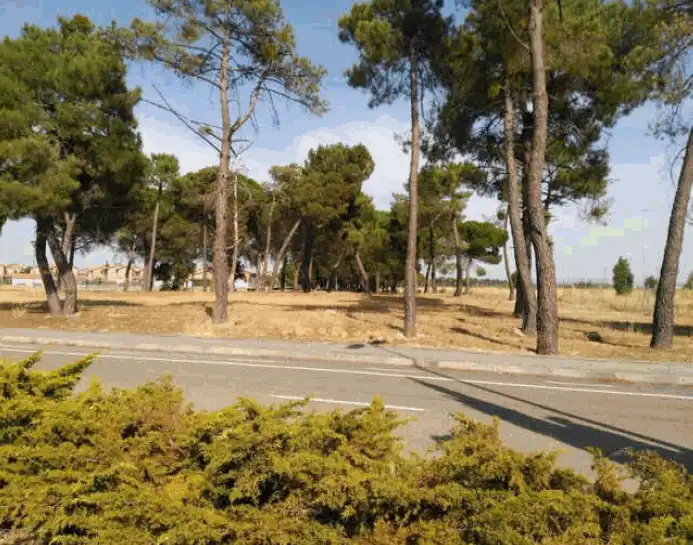 Terreno residencial en venta en Boecillo, imagen 4