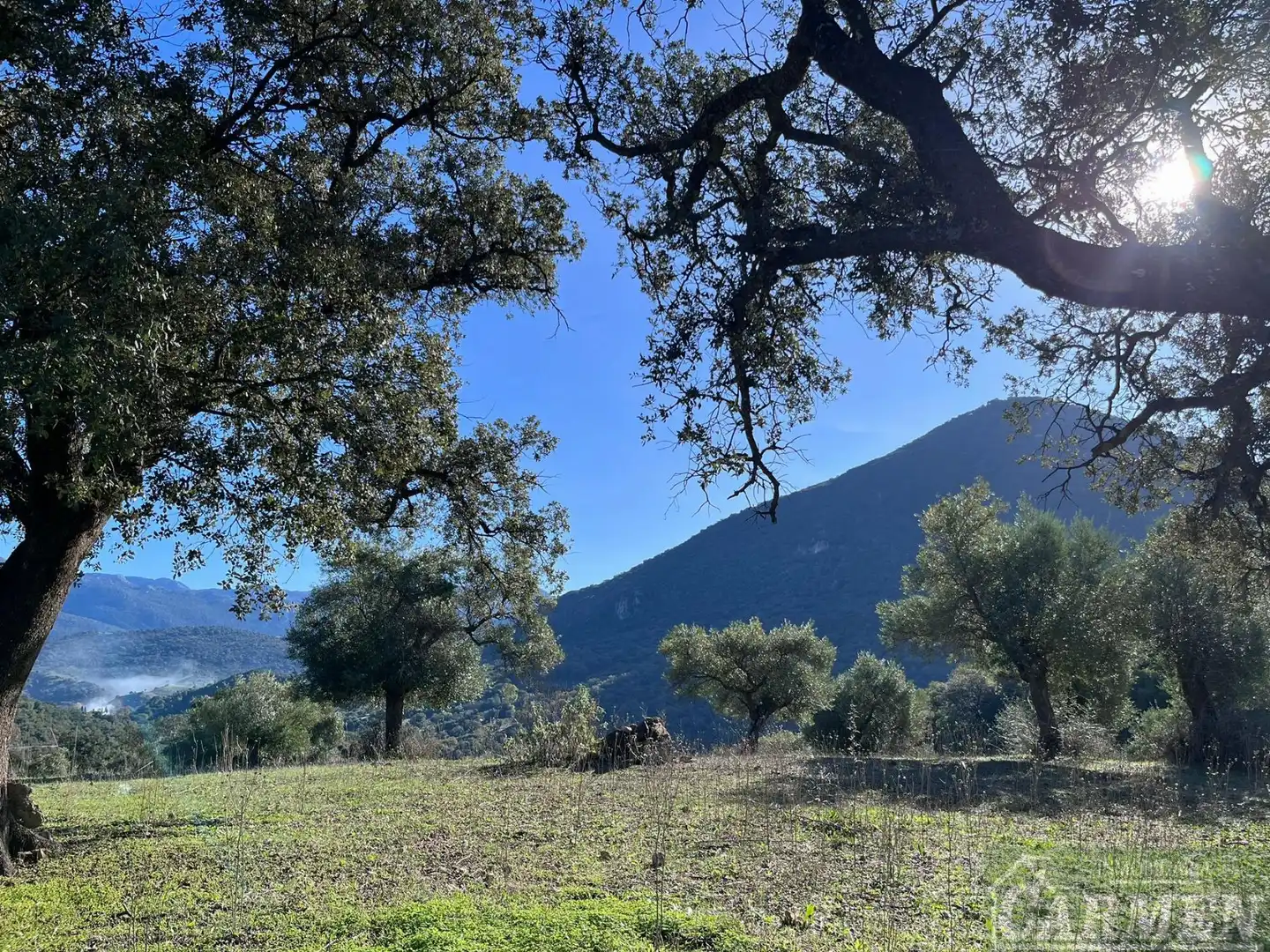 Finca rústica en venda en El Bosque