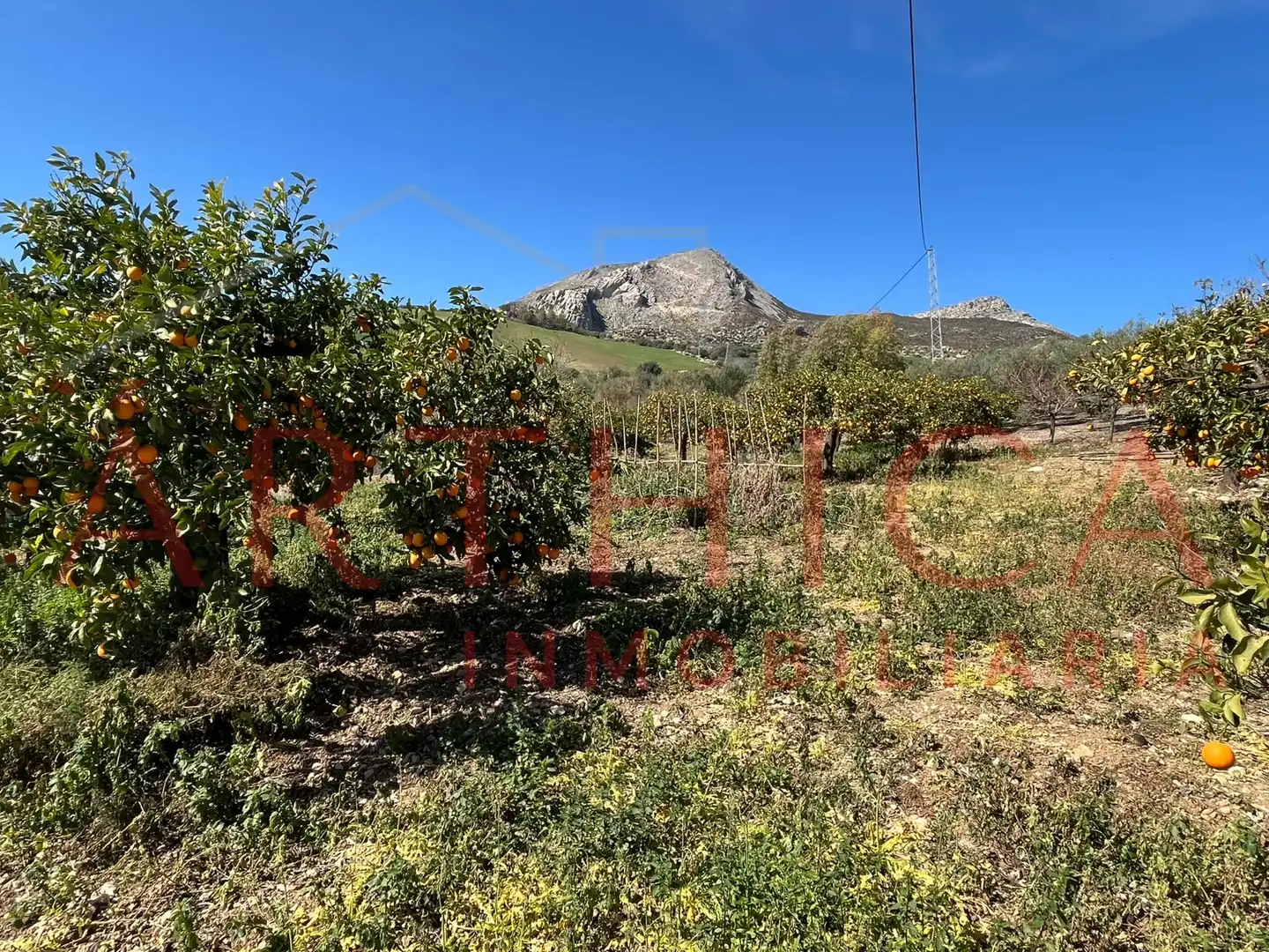 Chalet con jardín en venta en Diseminado Poligono, imagen 56