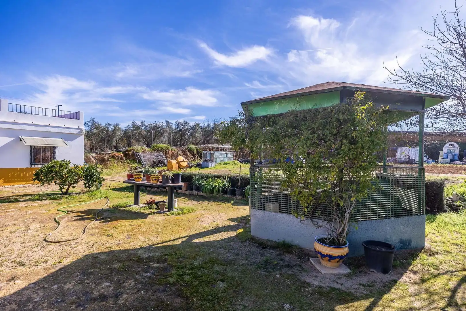 Jardí de Finca rústica en venda en Alcalá de Guadaira amb Aire condicionat i Piscina