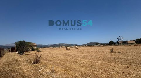 Finca rústica NO edificable con caseta agrícola en Sa Pobla