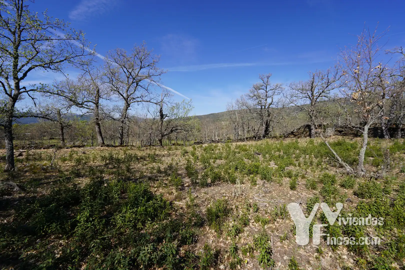Terreno rústico en venta en Campillo de Ranas, imagen 10