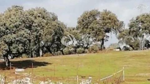 Foto 4 de Casa o xalet en venda a Cerro Muriano,  Córdoba Capital