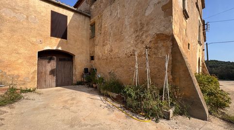 BAIX EMPORDÀ, LA BISBAL D’EMPORDÀ, MASI, imatge 4