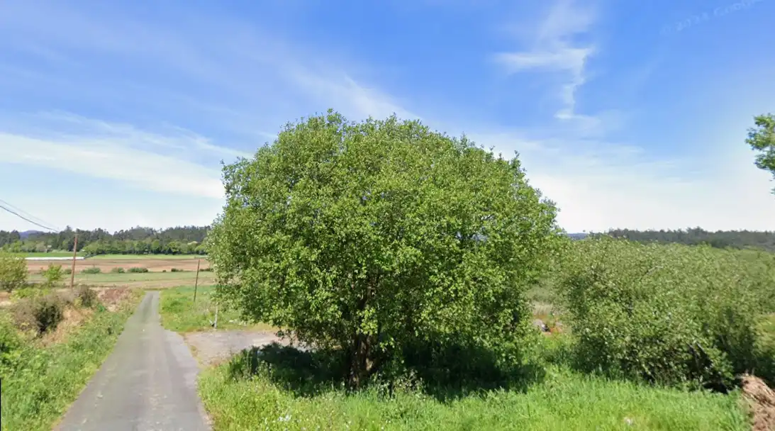 Rural land for sale in Rosende 17, imagen 4