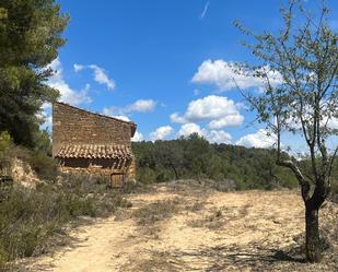 Terreny en venda en Horta de Sant Joan