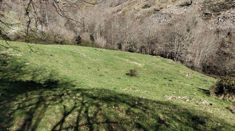 Photo 5 of Commercial properties for sale in El Hortigal, Peñamellera Baja, Asturias