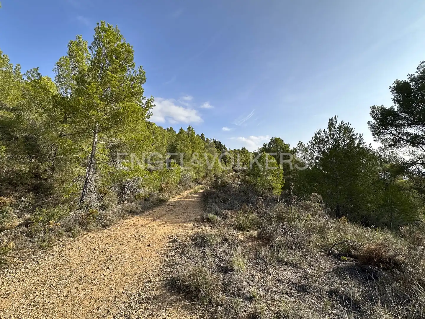 Residential land for sale in Torrelles de Foix, imagen 14