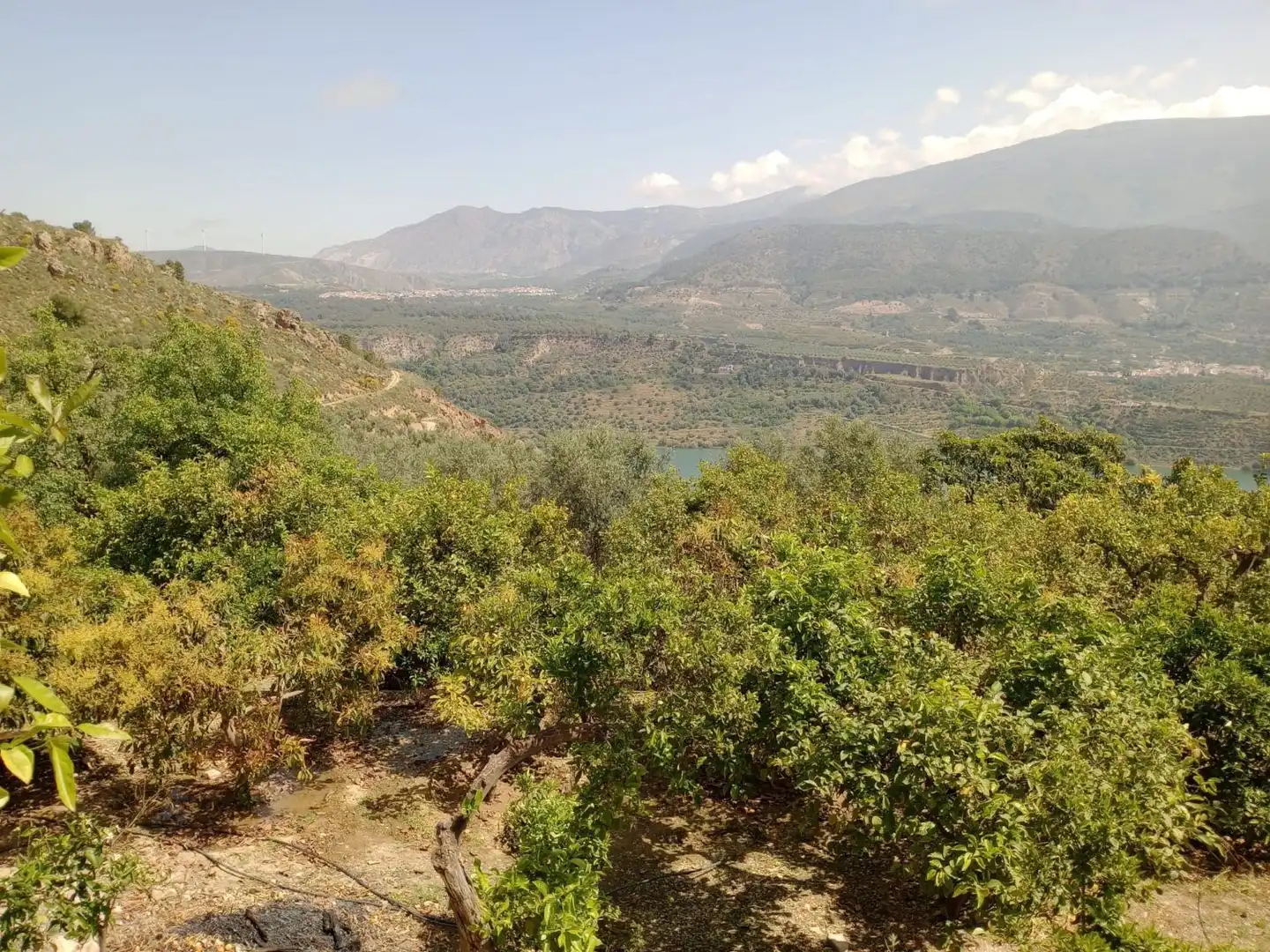Terreni e lotti in vendita a El Valle, imagen 7