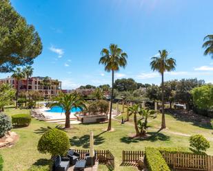 Jardí de Planta baixa en venda en Calvià amb Terrassa