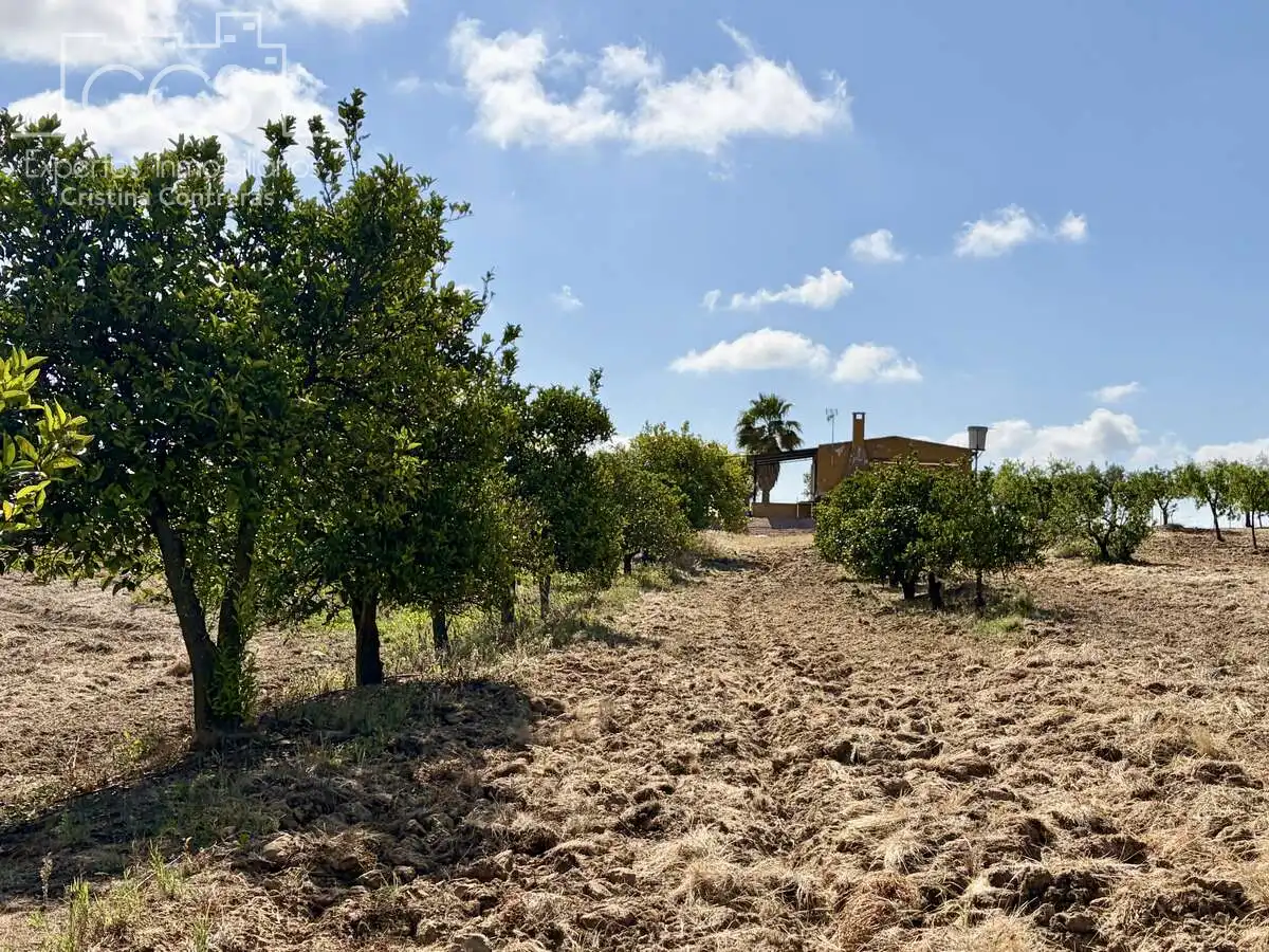 Casa rústica en venda a Almonte ciudad, imagen 3