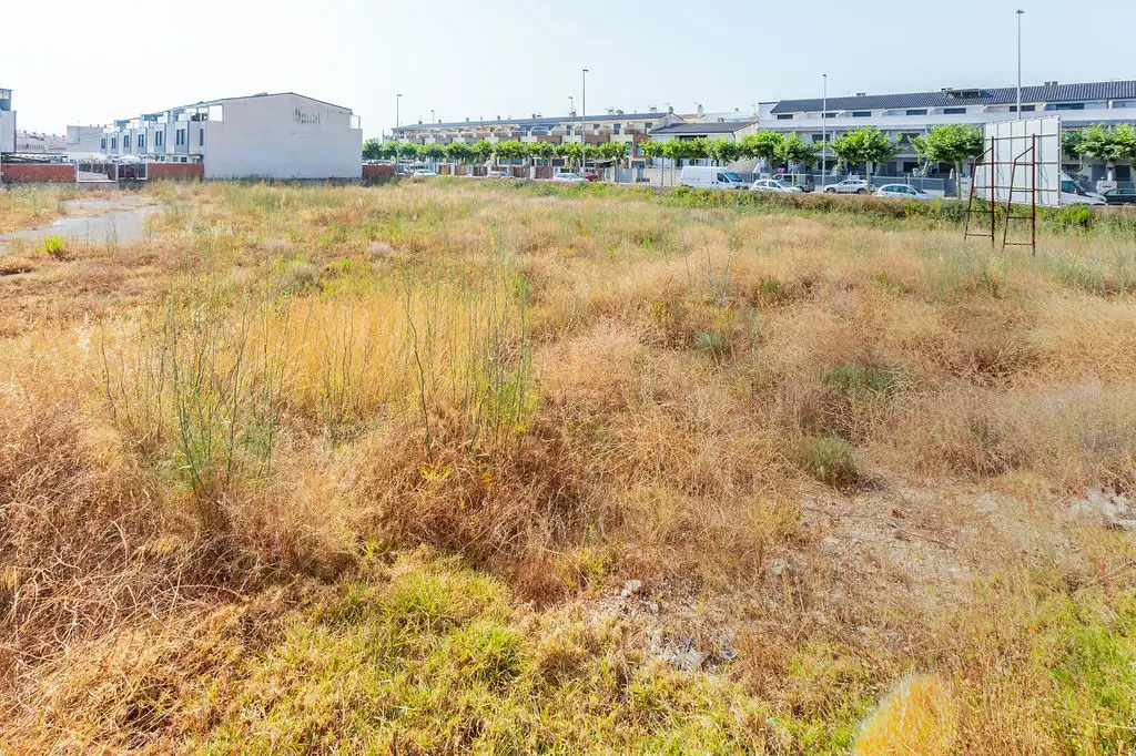 Rural land for sale in C/ Alquerías, imagen 18