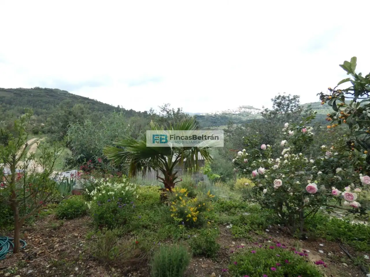Casa o xalet en venda en Cervera del Maestre amb Calefacció, Jardí privat i Terrassa