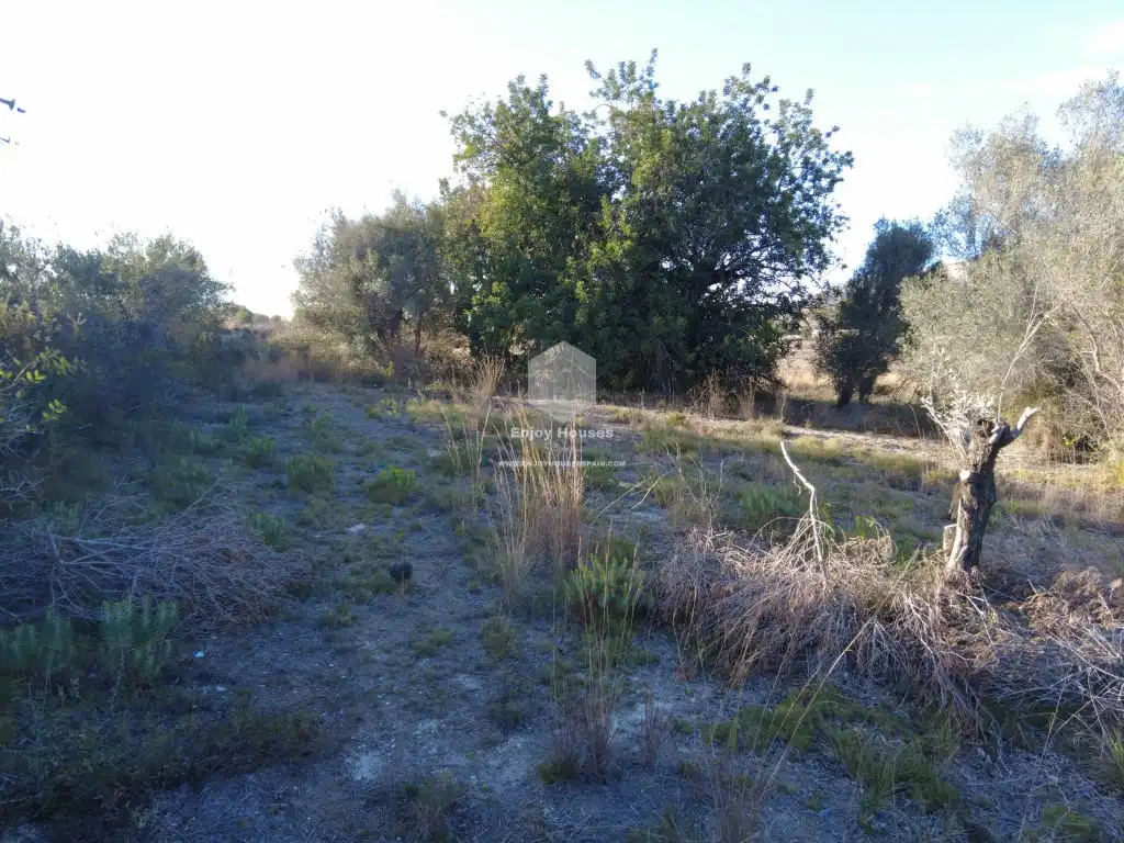 Finca rústica en venta en Partides comunes - Adsubia