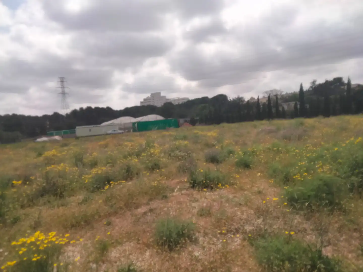 Terreno rustico in affitto a La Cañada, imagen 10