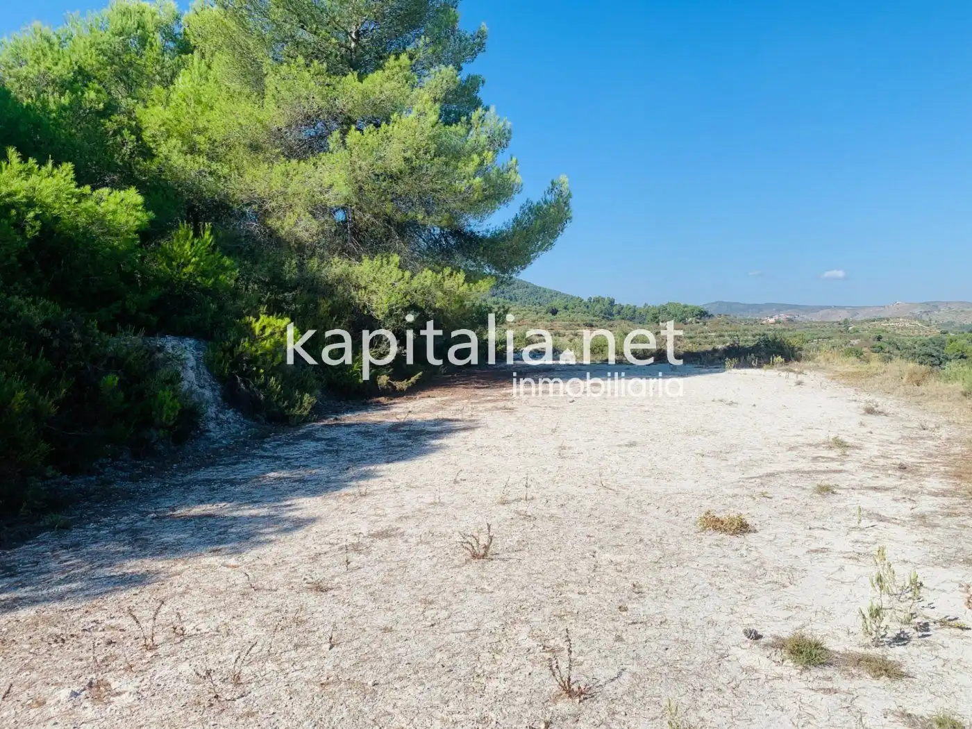 Terreno residencial en venta en Alfafara, imagen 6