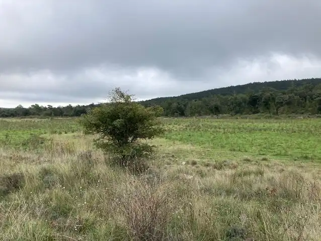 Terrain rustique à vendre à Passeig de la Mussara, imagen 18