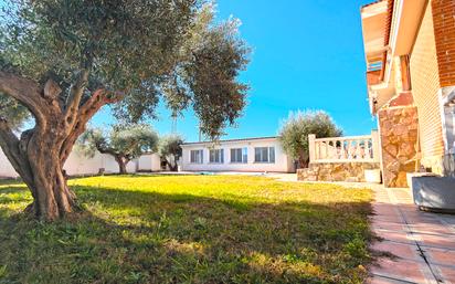 Jardí de Casa o xalet en venda en Don Benito amb Aire condicionat, Calefacció i Terrassa