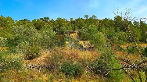 Foto 3 de Finca rústica en venta en Benifallet, Tarragona