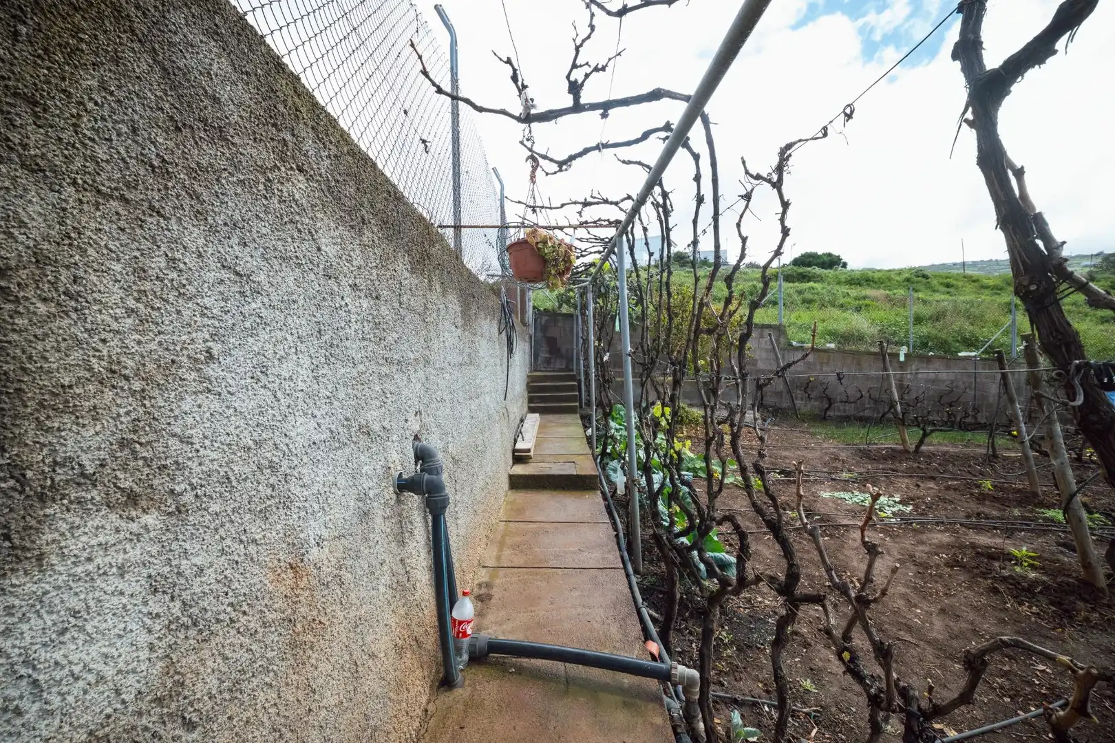 Jardín de Finca rústica en venta en El Sauzal