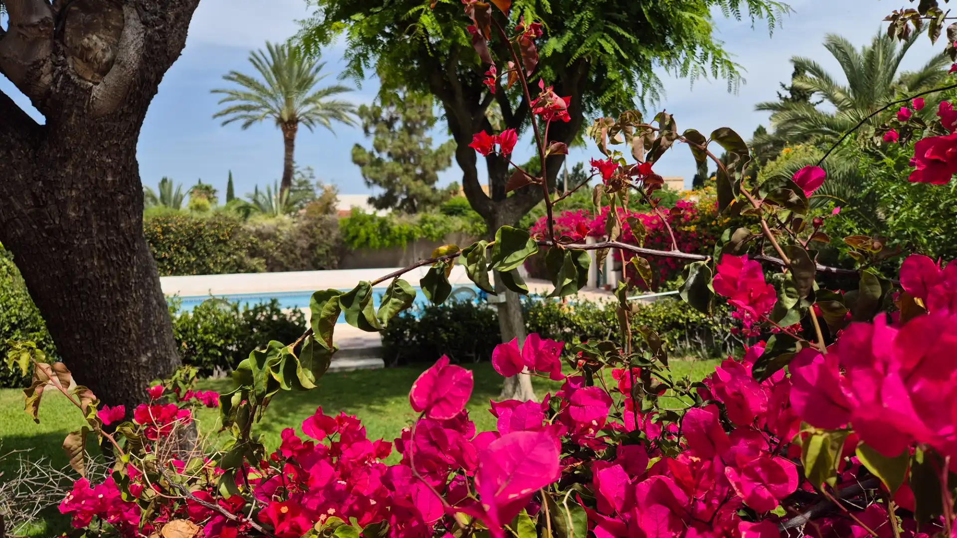 Garden of Detached homes for sale in Elche / Elx  with Air Conditioner, Heating and Terrace