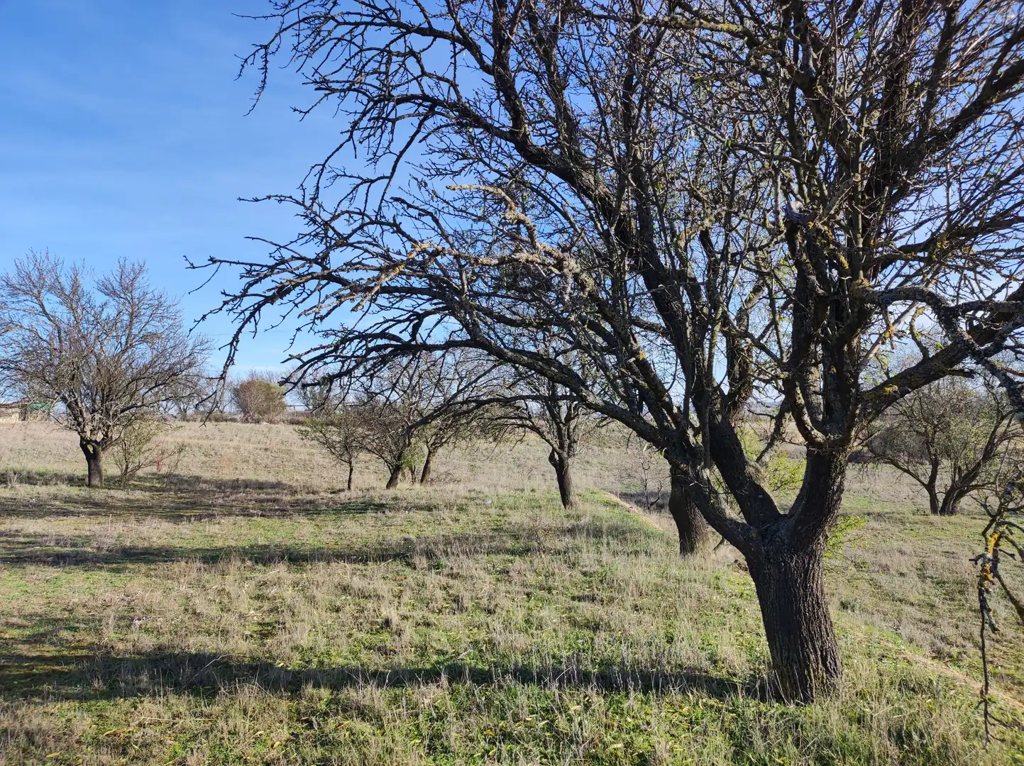 Finca rústica en venda a Carretera Autilla, 37, Allende el Río