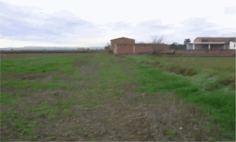 Land for sale in Zaragoza