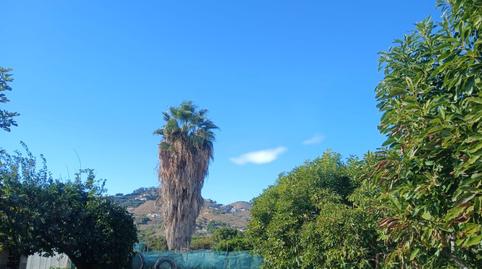 Foto 5 de Finca rústica en venda a Avda Pescia - Ctra de Frigiliana, Málaga