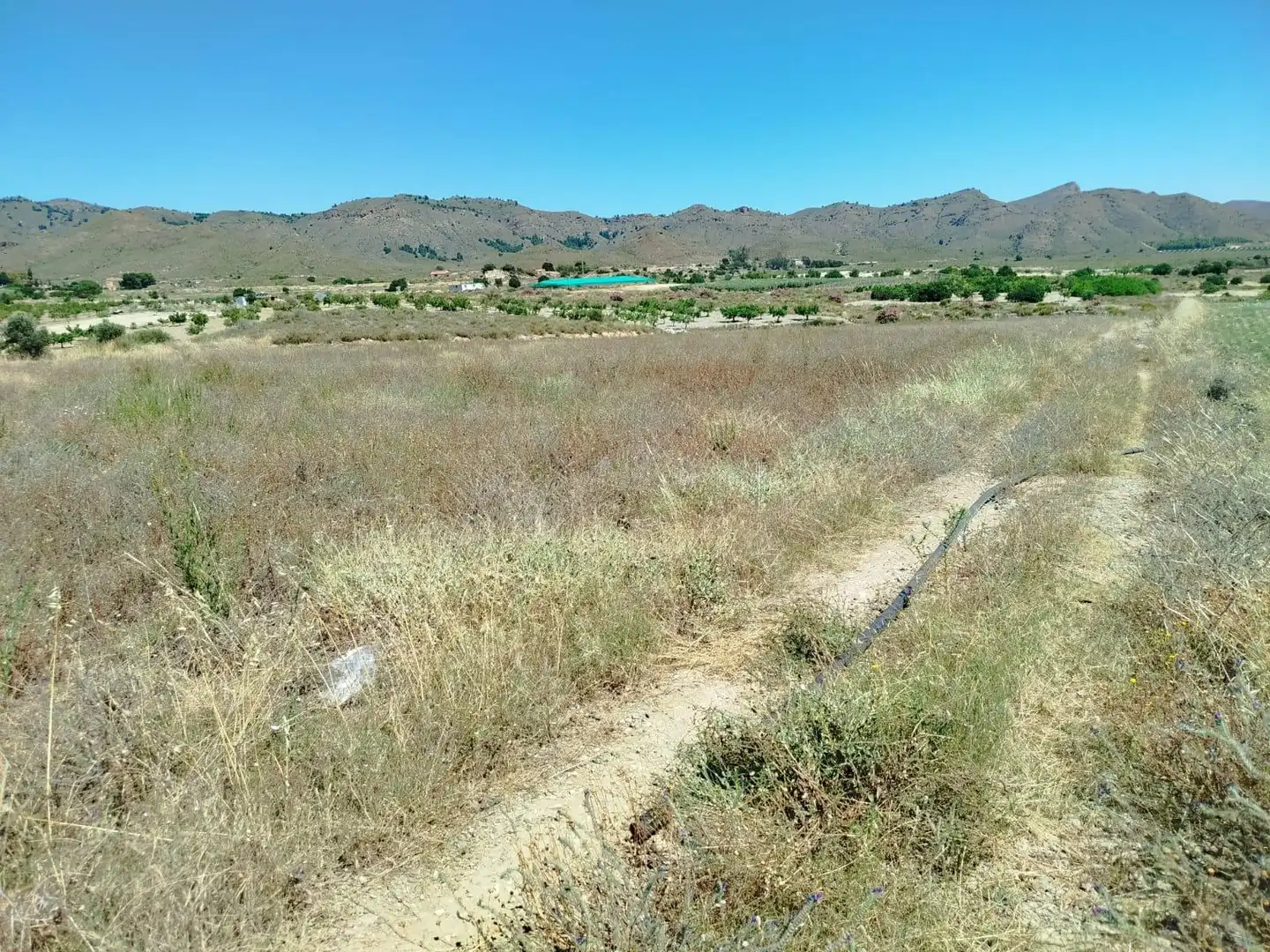 Terrenys i solars en venda a Mazarrón Casco Urbano, imagen 11