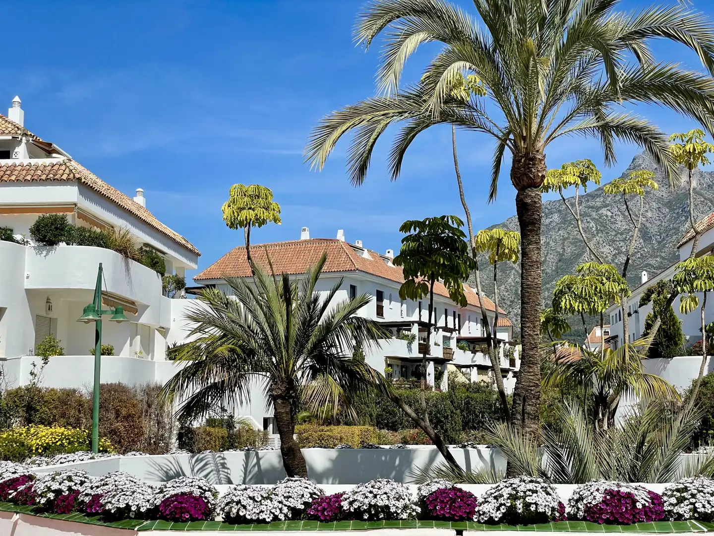Penthouse with pool for sale in Milla de Oro, imagen 2