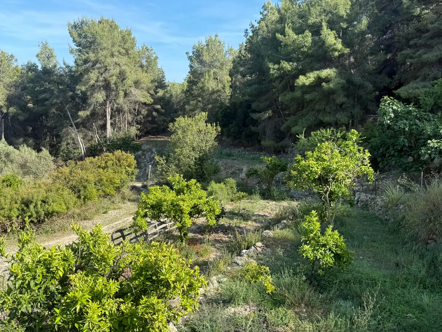 Finca rústica en venta en Sitges con Aire acondicionado, Terraza y Piscina