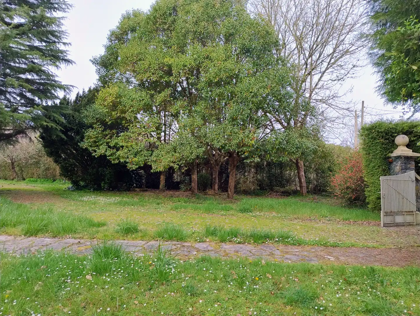 Casa o chalet en venta en Lugo con Amueblado