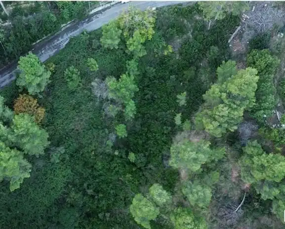 Residential land for sale in Avenida del Mirador, imagen 7