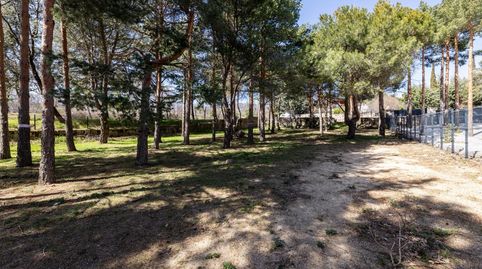 Parcela urbana en esquina junto al embalse de Navacerrada con licencia concedida y proyecto listo para construir, immagine 2