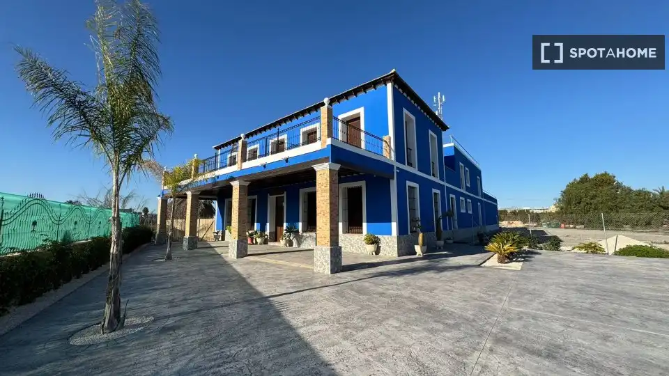 Habitació a Alzabares