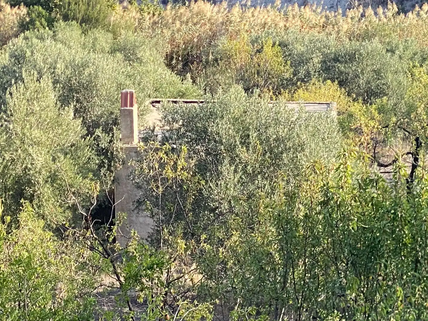 Rustikales Grundstück zum Verkauf in Moratalla