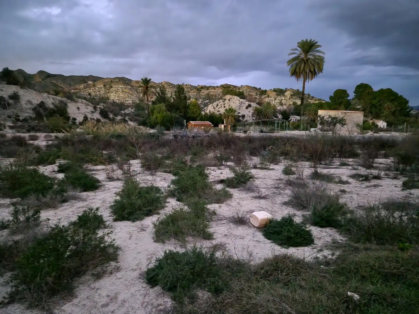 Rural land for sale in Ulea, imagen 2
