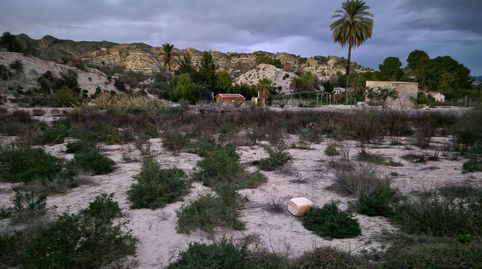 Se vende finca en Ulea, immagine 2