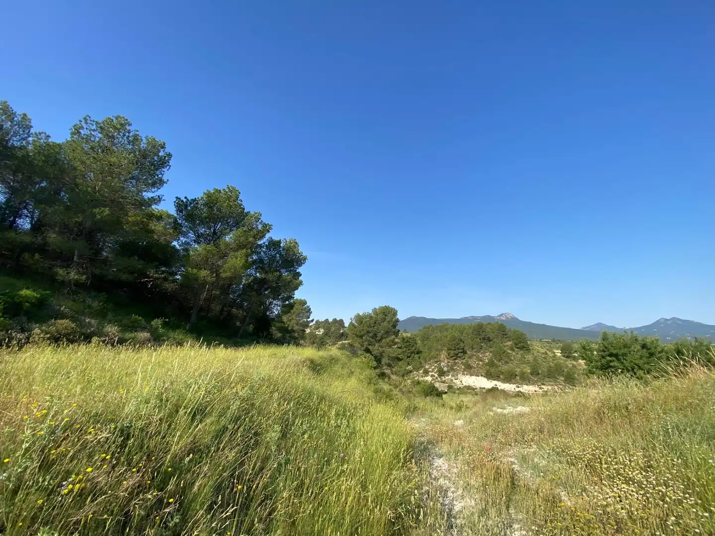 Villa à vendre à Moratalla, imagen 78