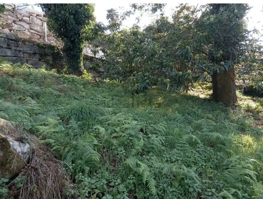 Houses for sale in Ourense Capital 