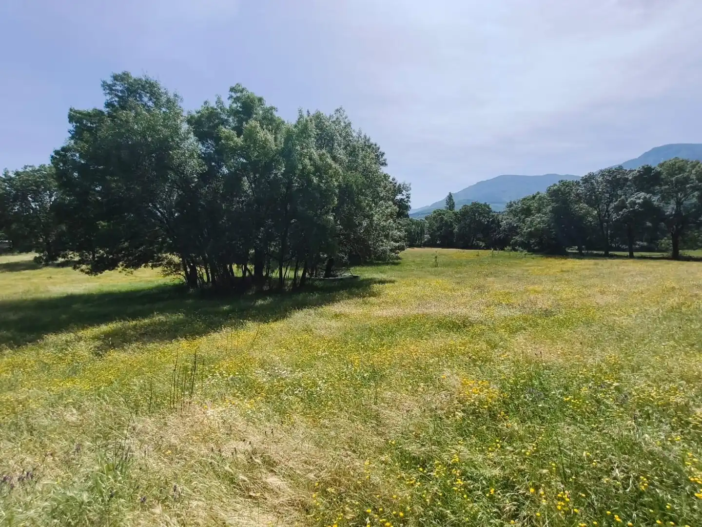 Residential for sale in Hervás