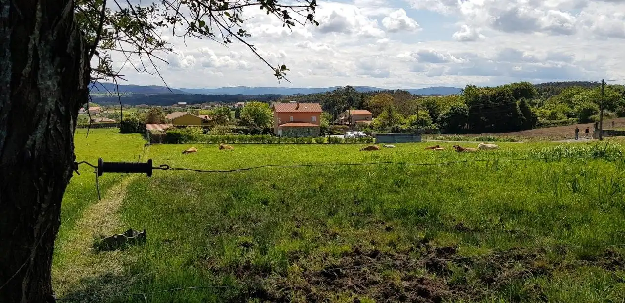 Terrenys i solars en venda a Lugar Montefaro, imagen 8